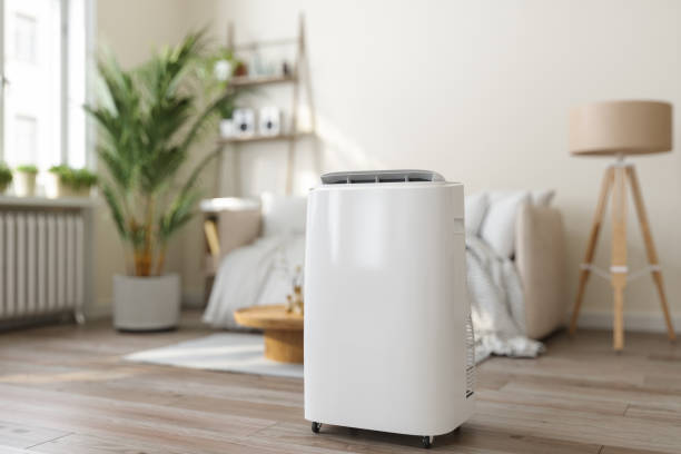 Best Residential HVAC services  in Willow Grove, TX